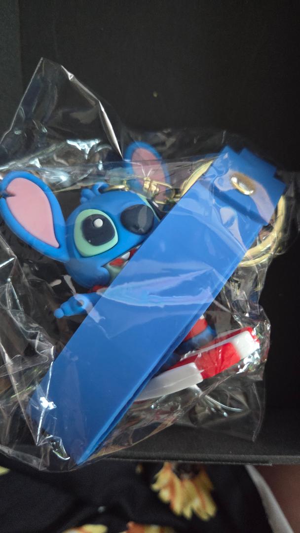 Stitch Surfing Keychain
